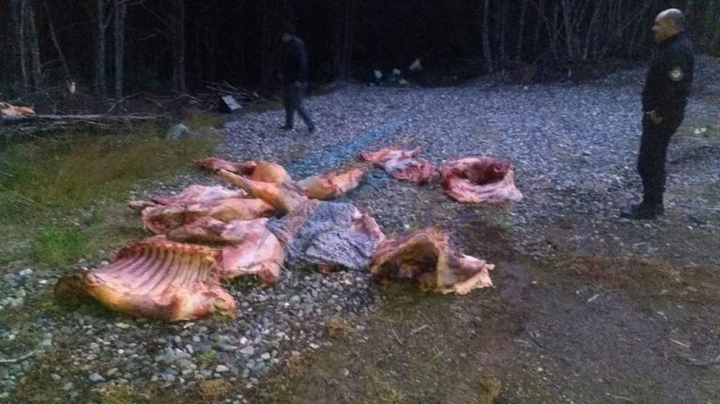 En zonas boscosas también se encontraron restos de animales
