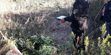 Aristóbulo del Valle: recuperan raídos de yerba y detienen a un hombre