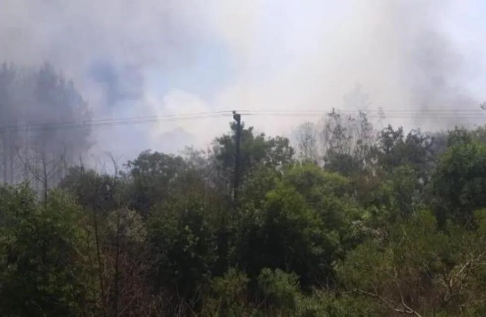 Sofocaron un incendio a pocos kilómetros de Bonpland. Las llamas consuumieron unas cinco hectáreas.