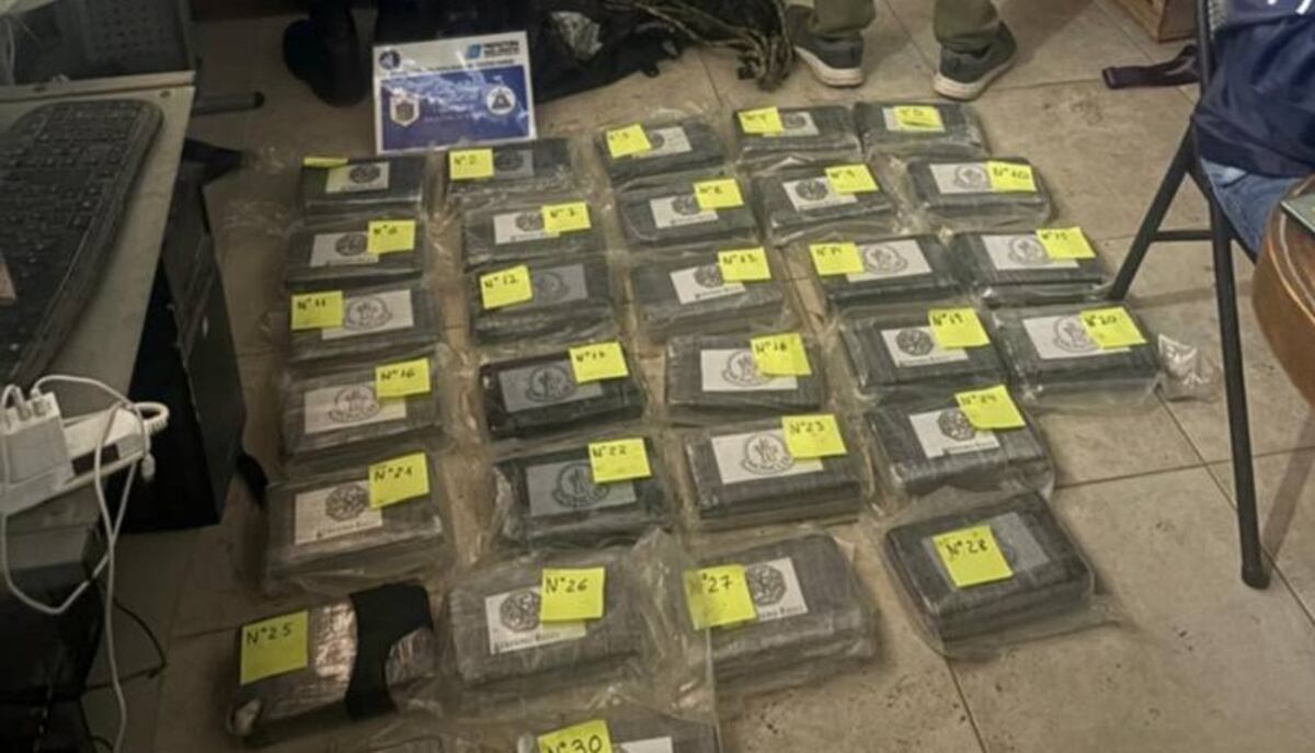 Monte Hermoso: los 34 kilos de cocaína secuestrados serían de alta pureza thumbnail