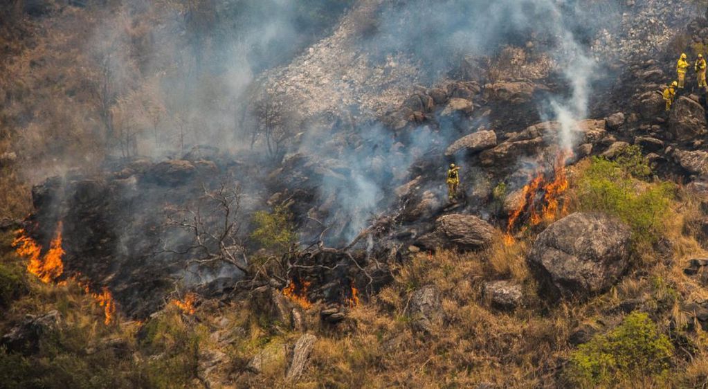 Incendios. El fuego arrasó en Chubut. (DPA)