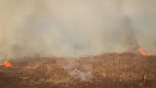 Incendios en el Delta del Paraná