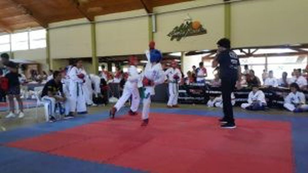 Los máximos exponentes del Taekwondo estuvieron presentes en el Argentina Summer Cup.