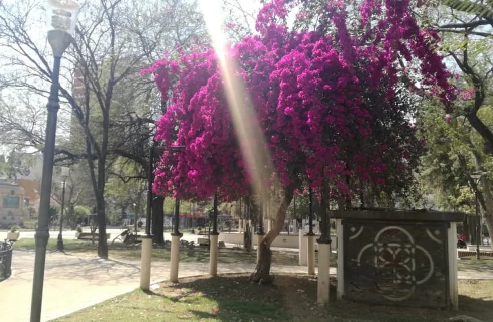 Plaza Libertad, Santiago del Estero. Foto: Mariana Herrera