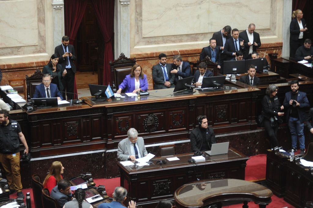 Cecilia Moreau, presidenta de la Cámara de Diputados (Foto: Federico López Claro)