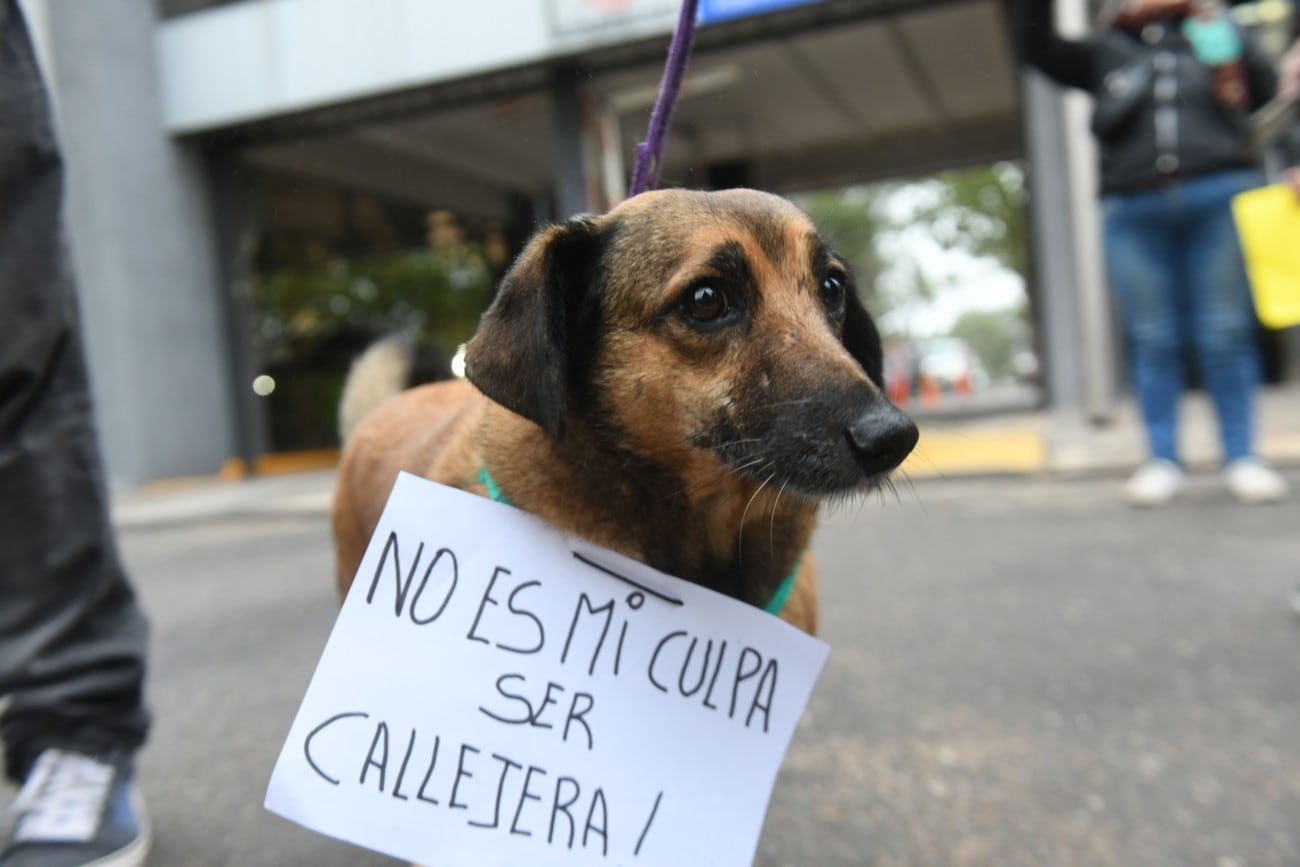 Protesta en la puerta de ingreso al barrio San Isidro  por maltrato animal ( Ramiro Pereyra / La Voz)
