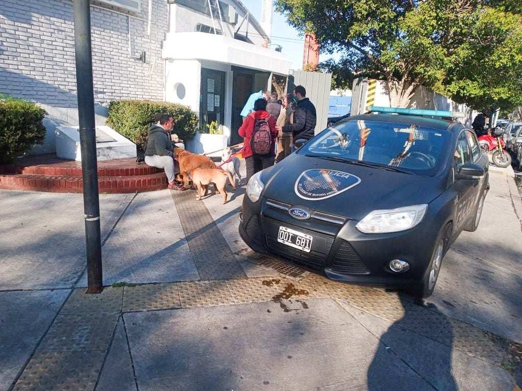 Un hombre atropelló a un paseador y mató a cuatro perros en Belgrano, los vecinos piden Justicia