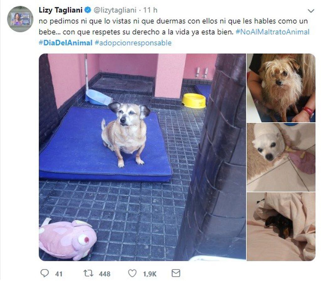 Lizy Tagliani reclamó en Twitter por los derechos de los animales