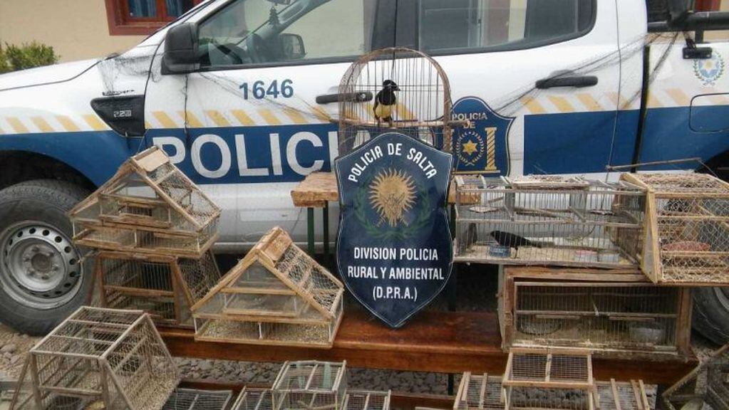 La Policía Rural de Salta rescató aves silvestres y las devolvió a su hábitat. (Policía de Salta)
