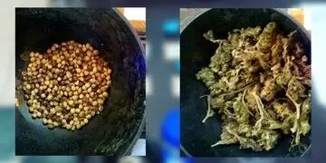 Dos jóvenes fueron demorados tras transportar semillas y envoltorios de marihuana