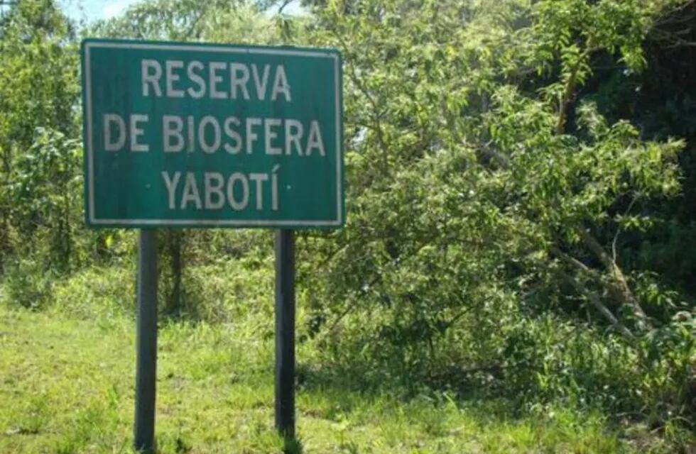 Biósfera Yabotí
