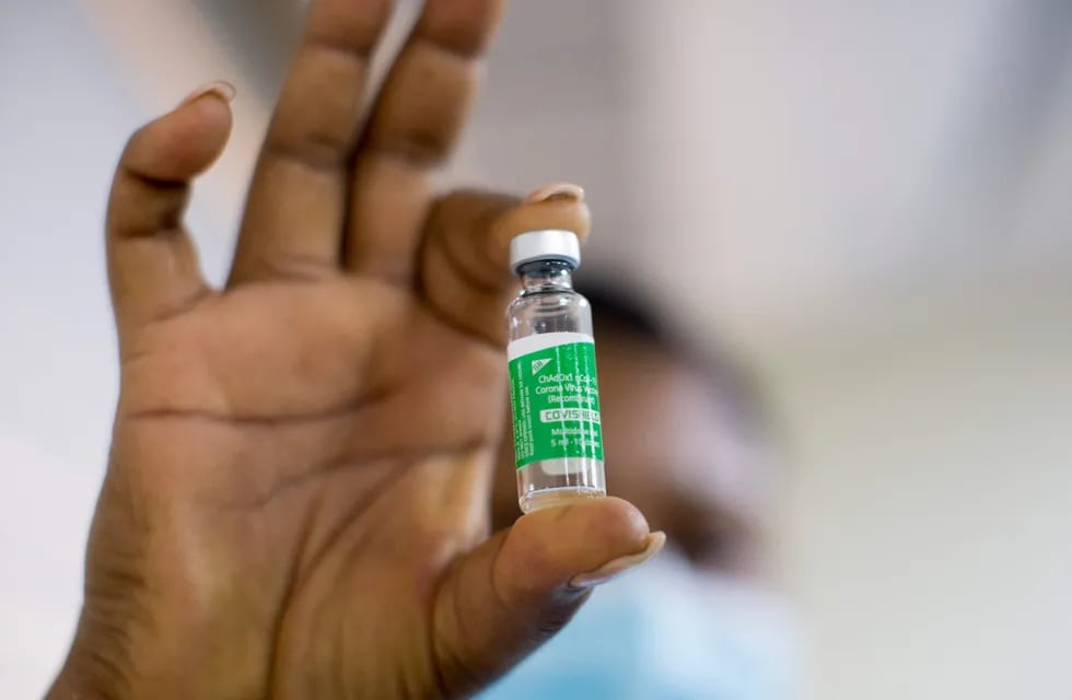 Argentina recibió una partida de 580 mil vacunas Covishield, fabricadas por el Serum Institute de la India. (Erika SANTELICES / AFP)