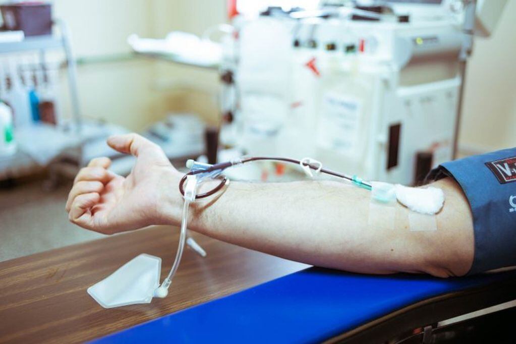 El Centro Regional de Hemoterapia de La Plata y la Comuna promueven una campaña de concientización sobre la importancia de donar plasma (web)