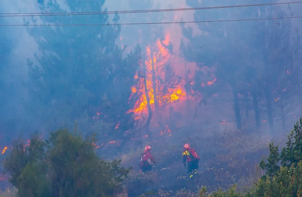 Los incendio forestales en El Hoyo se desataron el domingo 15 de enero.