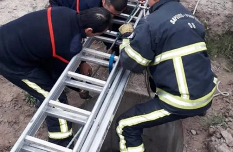 Bomberos de Luján rescatan un perrito