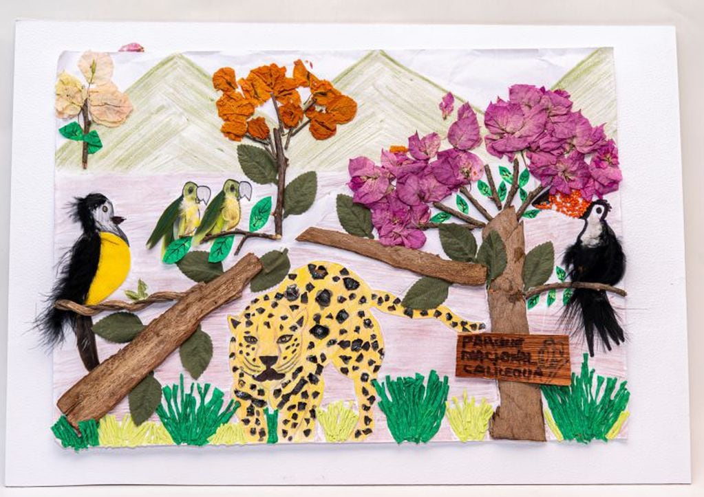 La obra de los alumnos de la Escuela Nº 414 “Adolfo Kapelusz” de San Pedro de Jujuy que resultó ganadora del concurso nacional de dibujo “Un Día en el Parque Nacional”.