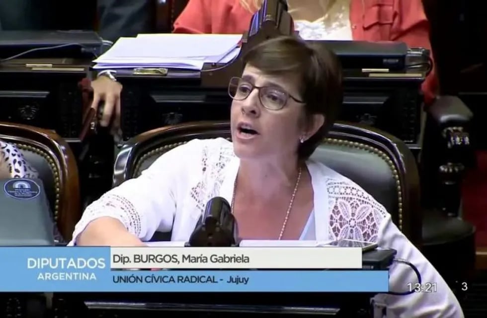 La diputada Gabriela Burgos preside la comisión de Legislación Penal de la Cámara baja.