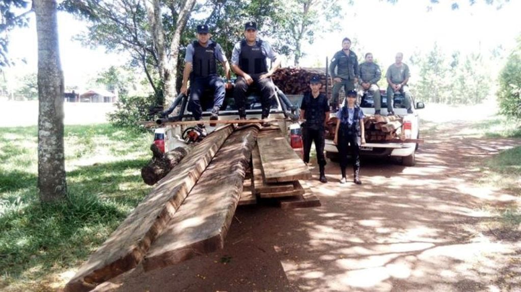 Robo de madera en San José descubierto por la policía. (Misiones Online)