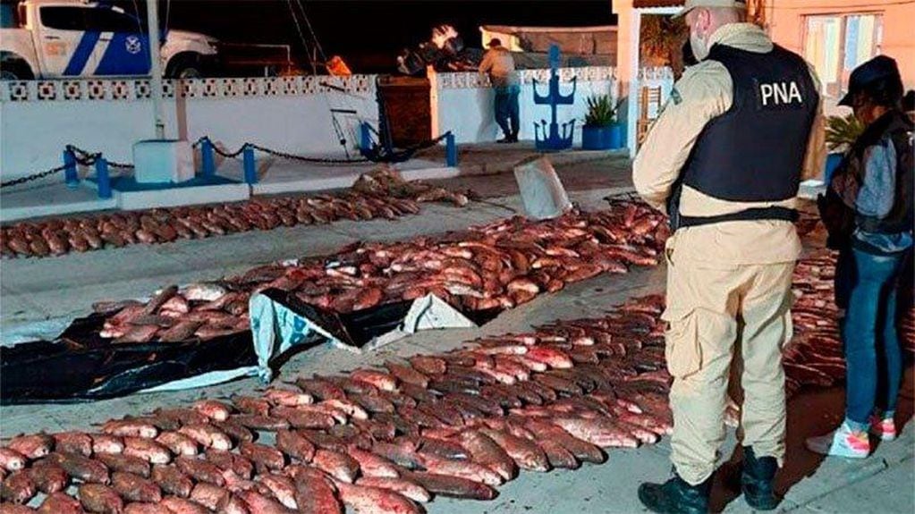 Detenidos por Contrabando - Pesca ilegal