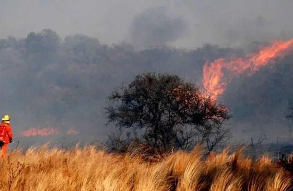El incendio consumió más de 25 hectáreas en Huinca Renancó. (Foto ilustrativa)