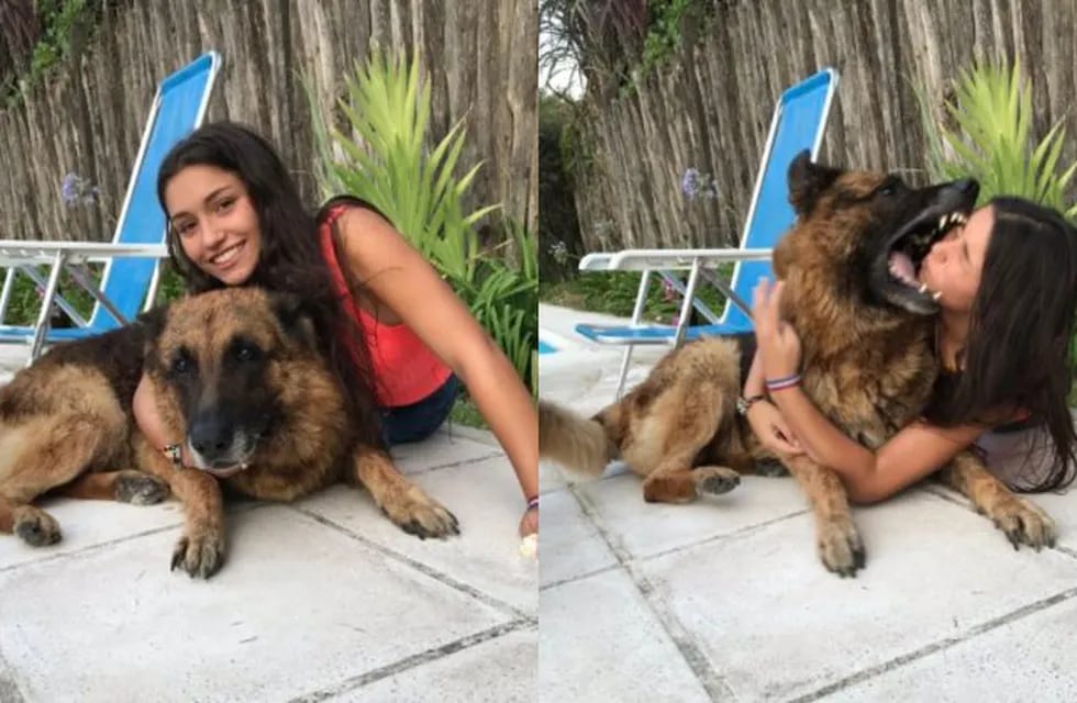 Quiso sacarse una foto con su perro 'Kenai' pero terminó con la cara destrozada