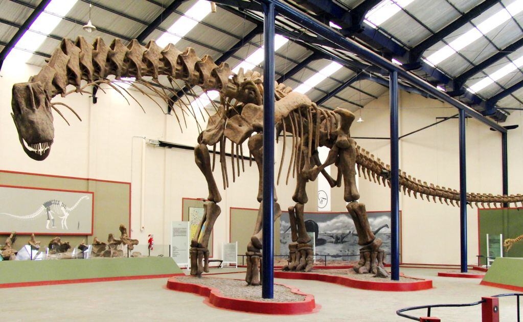 Descubren restos de un Argentinosaurus en la ciudad de Neuquén.