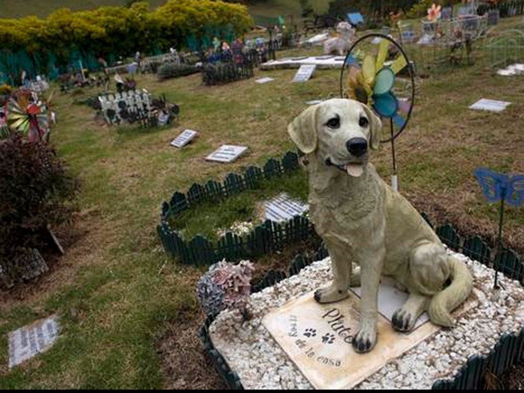 Quieren crear el primer cementerio para mascotas de Salta, (imagen ilustrativa)