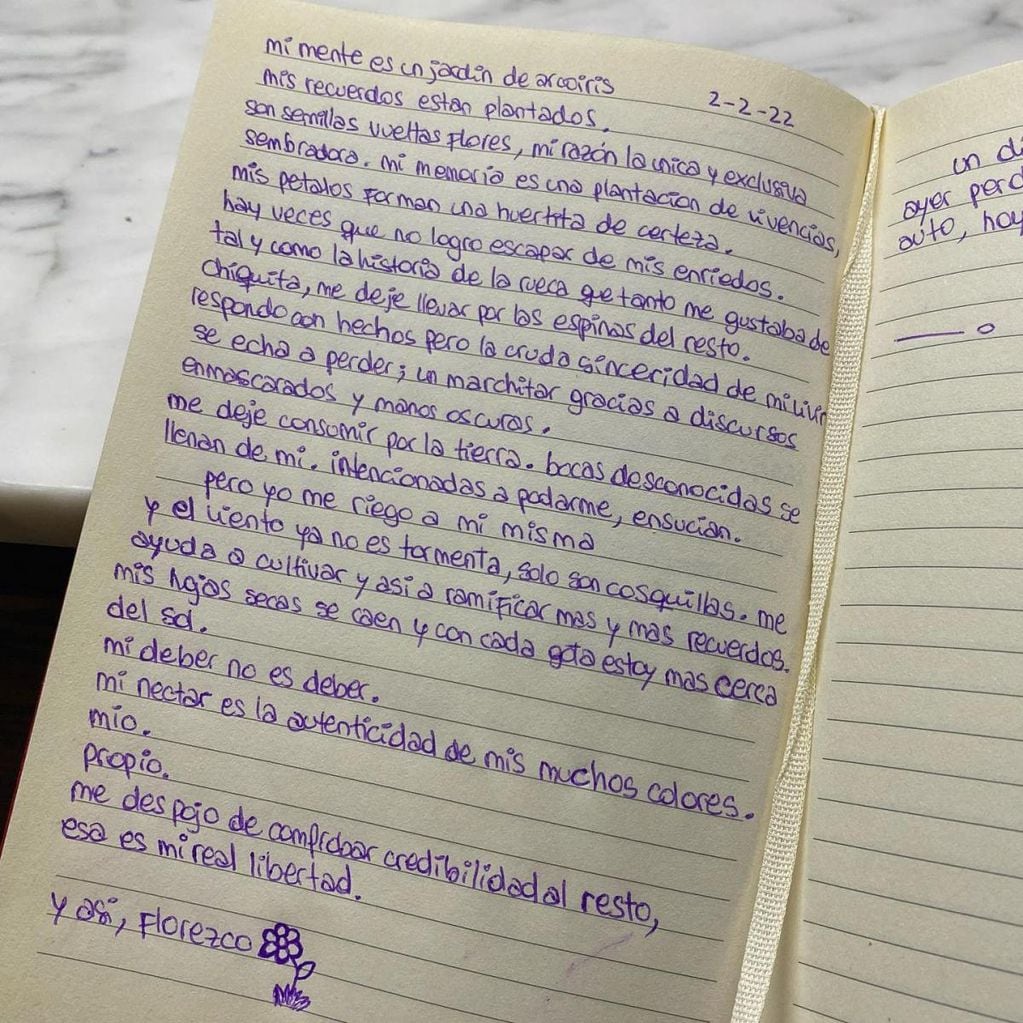 Anna Chiara del Boca publicó lo que parece ser su diario íntimo.