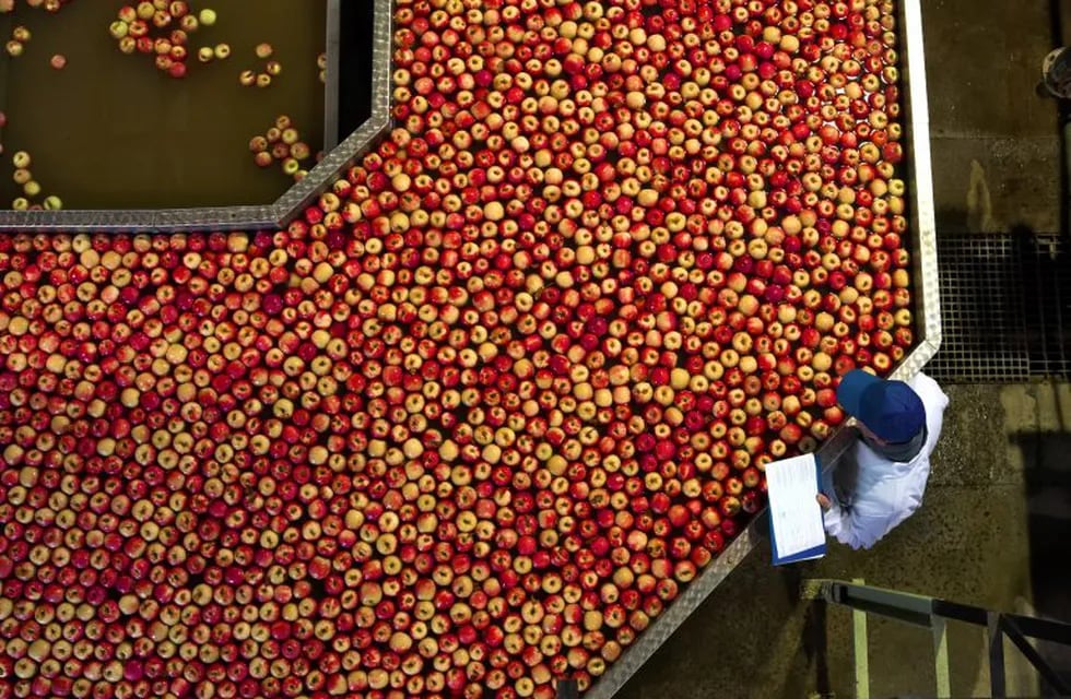Un documental aborda los pormenores de los procesos de la producción de alimentos.