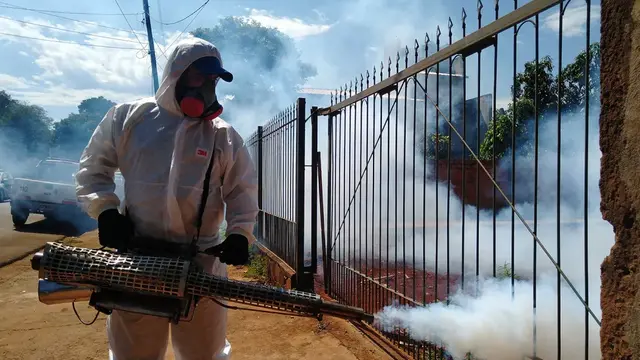 Sin casos de dengue sospechosos en Puerto Iguazú