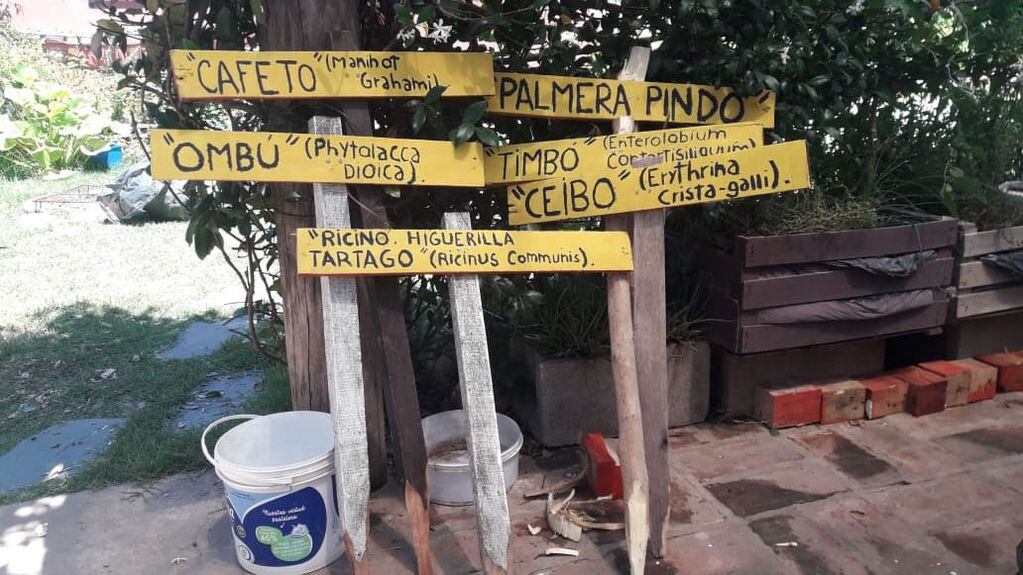Colocaron carteles con nombres de árboles del Bosquecito "Norberto Besaccia"