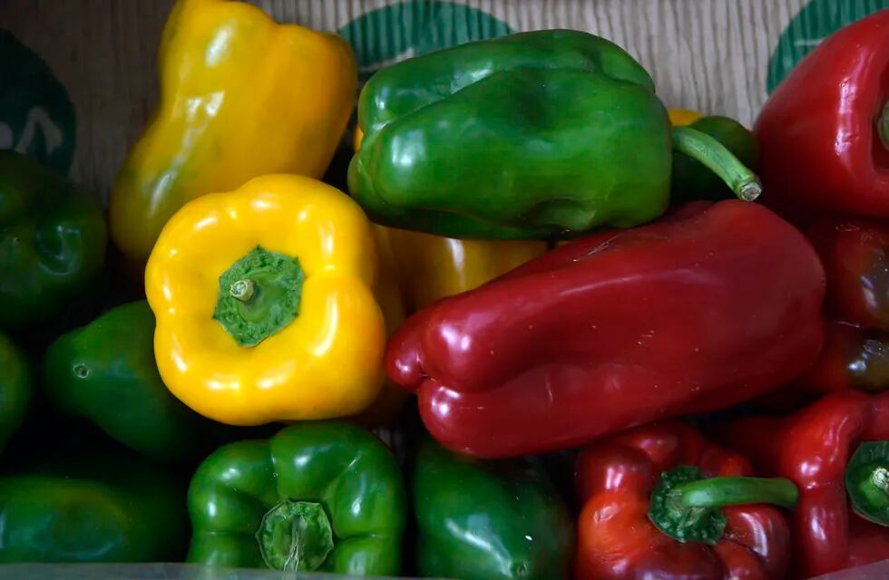 Aumento de precios de frutas y verduras de entre 10% y 25% en San Juan.

Foto: Orlando Pelichotti / Los Andes
