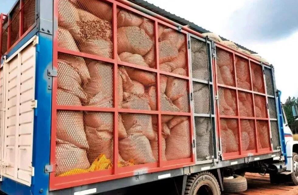 El INYM secuestró 60.000 kilos de palitos de yerba