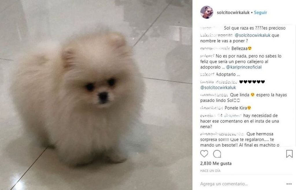 Fuertes críticas para Karina "La Princesita" por el perro de raza que le regaló a su hija por el cumpleaños.