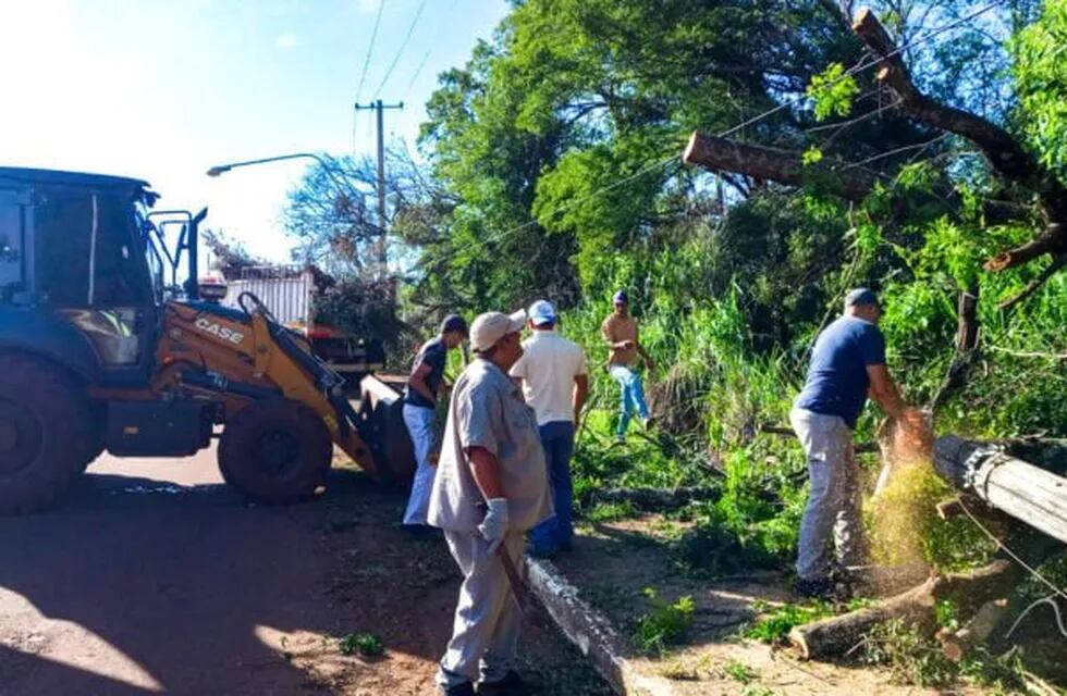 Leandro N. Alem se recupera tras el temporal: autoridades destacan la colaboración ciudadana.