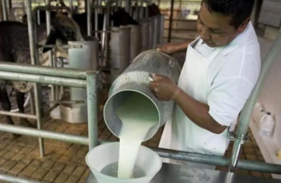 Productores lácteos denuncian que llegan cheques rechazados de Sancor
