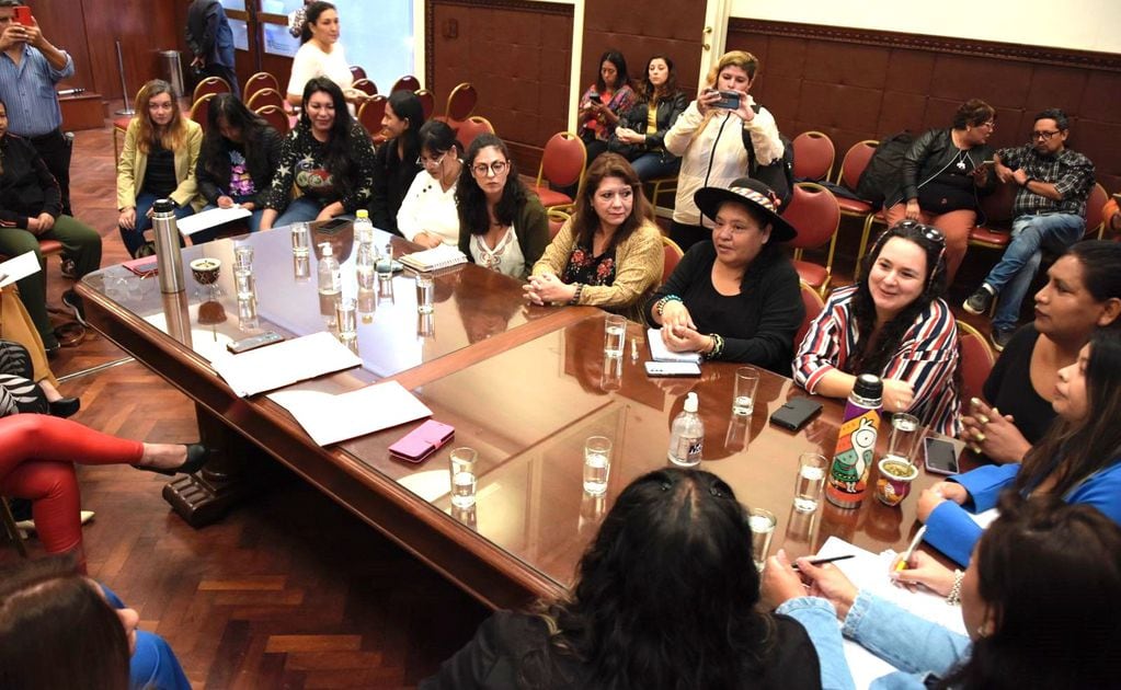 La Comisión de Igualdad de Género de la Cámara de Diputados provincial comprometió su apoyo al próximo encuentro nacional de mujeres y disidencias a realizarse en Jujuy.