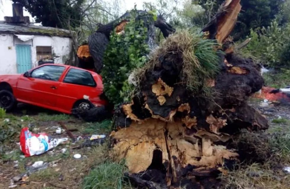 El temporal que azota a Mar del Plata ocasiona importantes daños (0223).