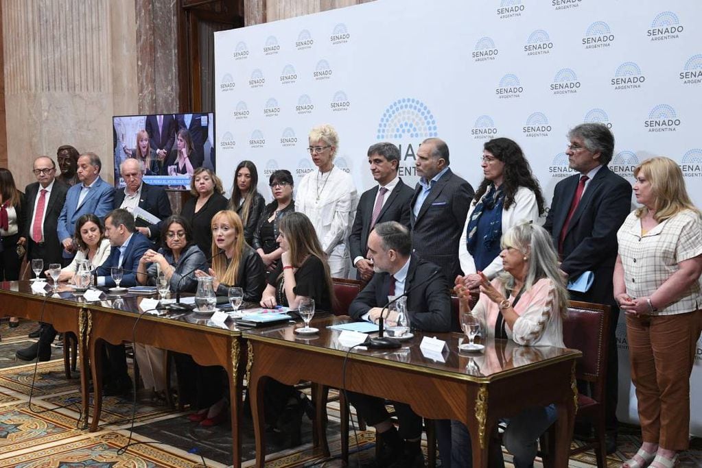 El kirchnerismo denunció que el fallo de la Corte es "político" e insistirá con Doñate (Foto: Comunicación Senado)