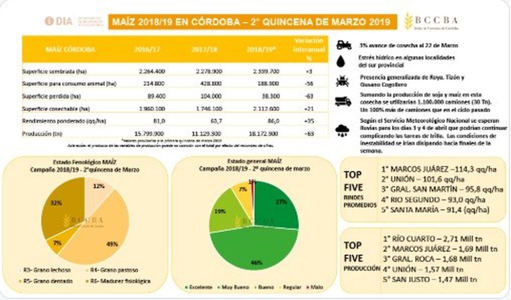 Top five de rinde de maíz. Fuente: Bolsa de Cereales de Córdoba.