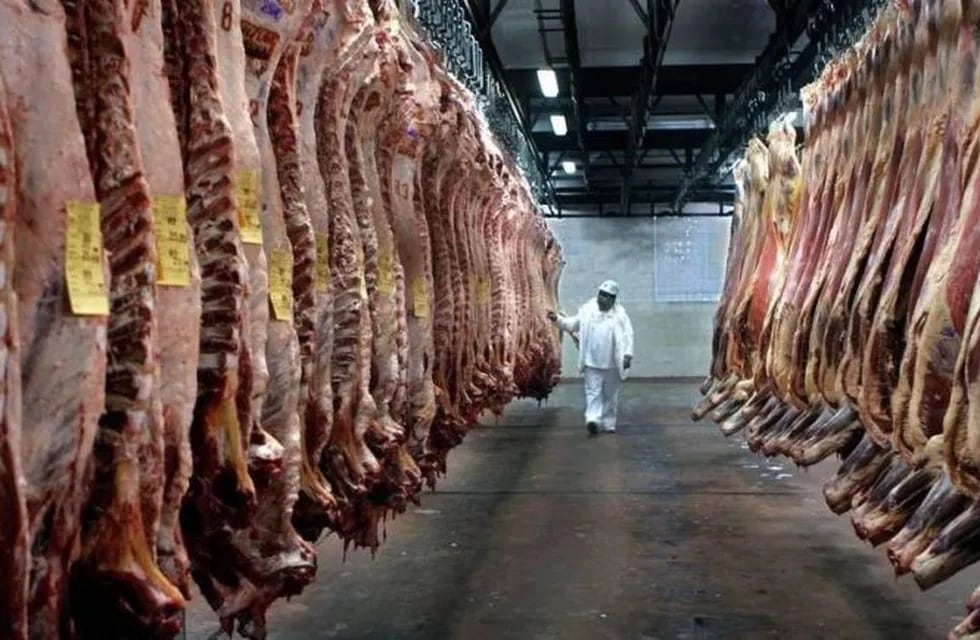 China importará carne bovina, caprina y ovina.