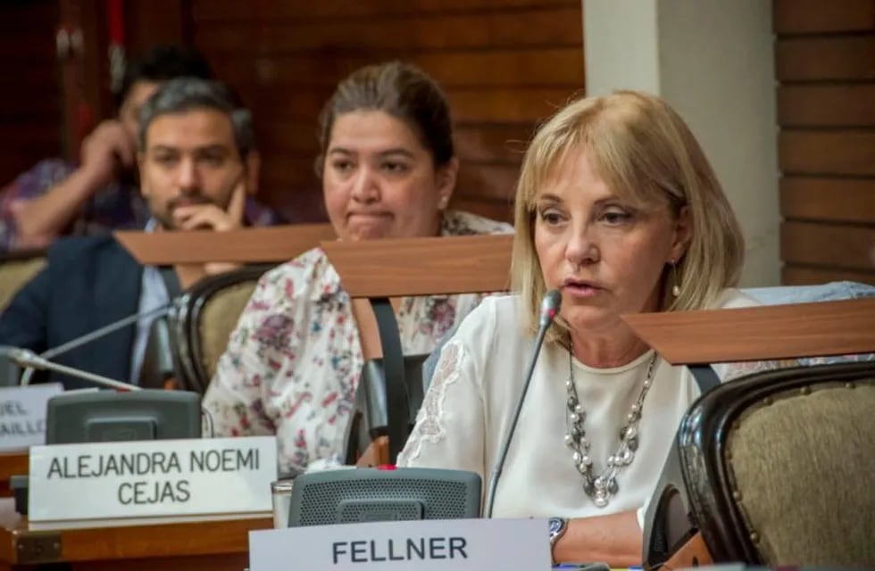 La diputada del PJ jujeño Liliana Fellner criticó duramente las políticas de ajuste del gobierno nacional