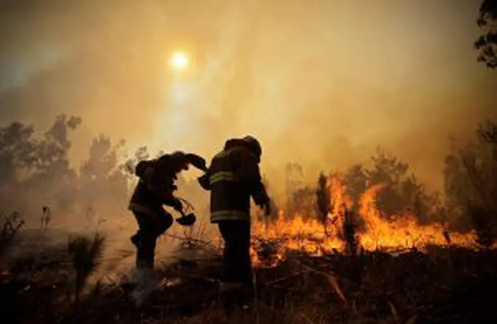 Firefighters dig trenches in a effort to stop the advancement of a forest fire in Hualau00f1e, a community in Concepcion, Chile, Wednesday, Jan. 25, 2017. The worst forest fires in Chile's history were uncontrolled on Wednesday, killing a firefighter and two 