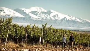 Los caminos del vino en Mendoza