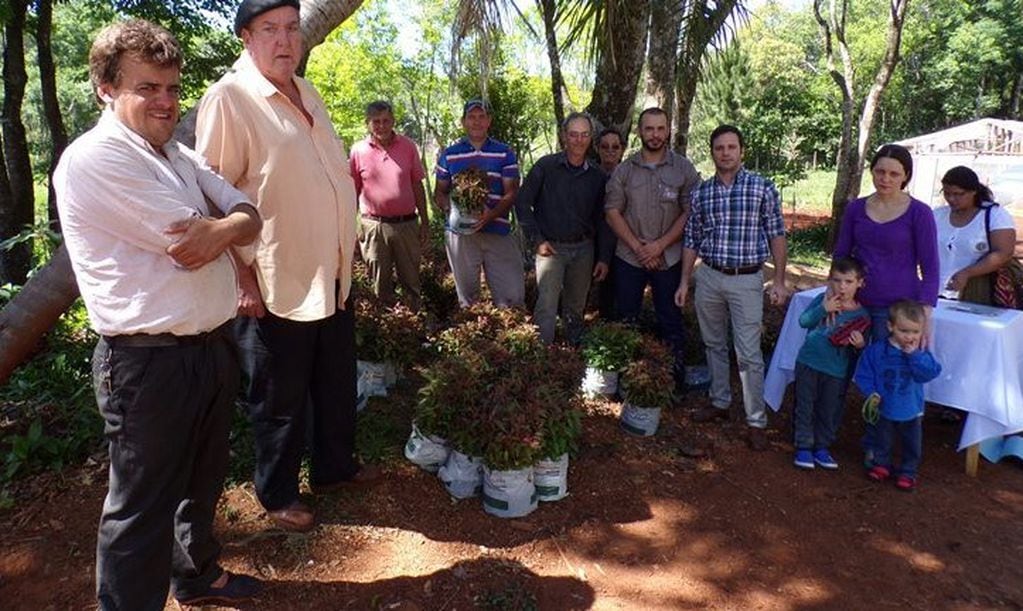 El programa Leña Renovable hizo posible la entrega de plantines de eucalipto a productores de Oberá.