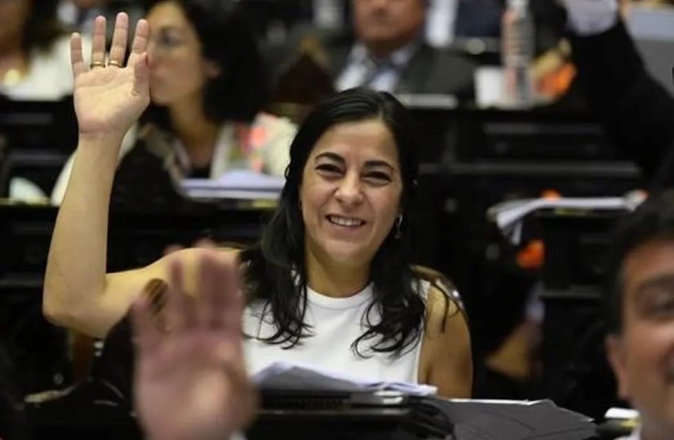 Diputada Carolina Moisés, Frente de Todos, Jujuy