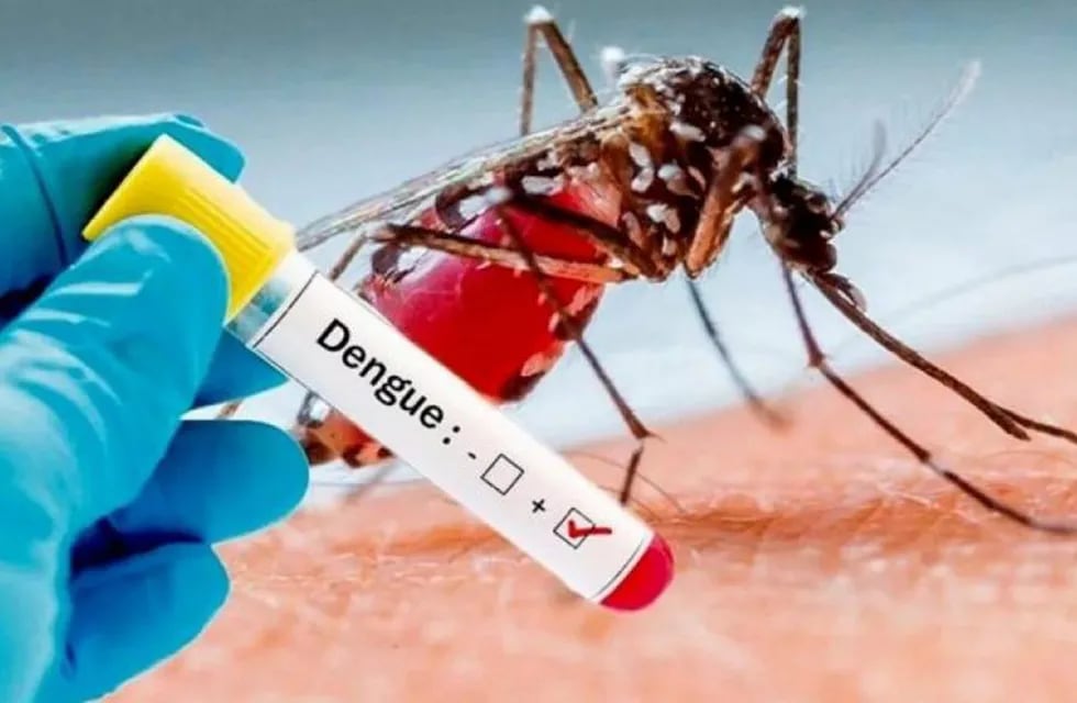 Desde el Municipio de Paraná comunicaron nuevos casos de dengue en la ciudad.