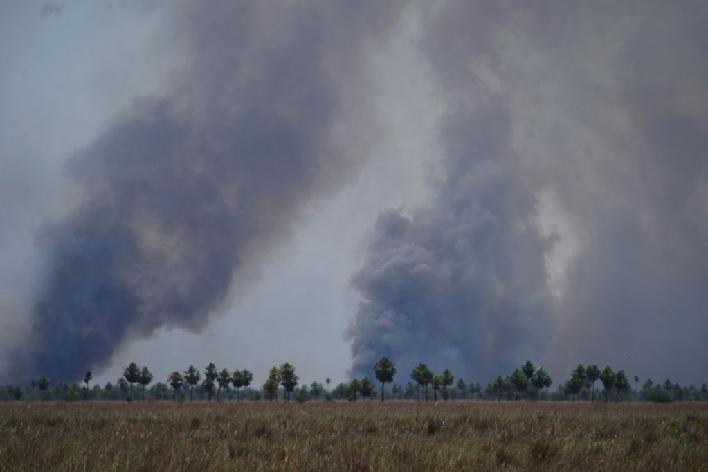 Incendios en Corrientes en la Colonia Pellegrini (Foto: Clarin)