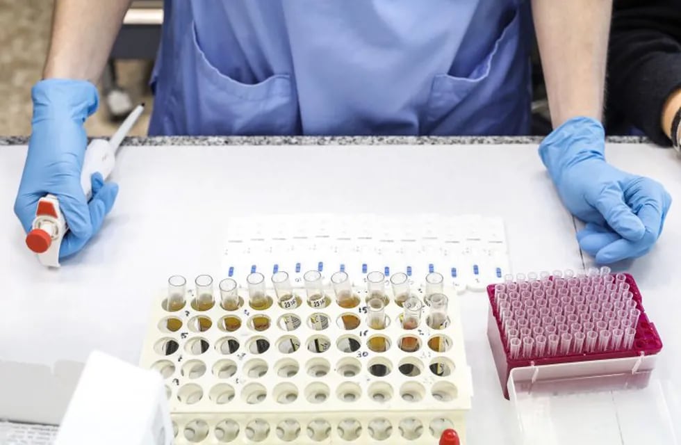 24/04/2020 Imagen de archivo de un trabajador en un laboratorio durante la pandemia de coronavirus. POLITICA Rober Solsona - Europa Press