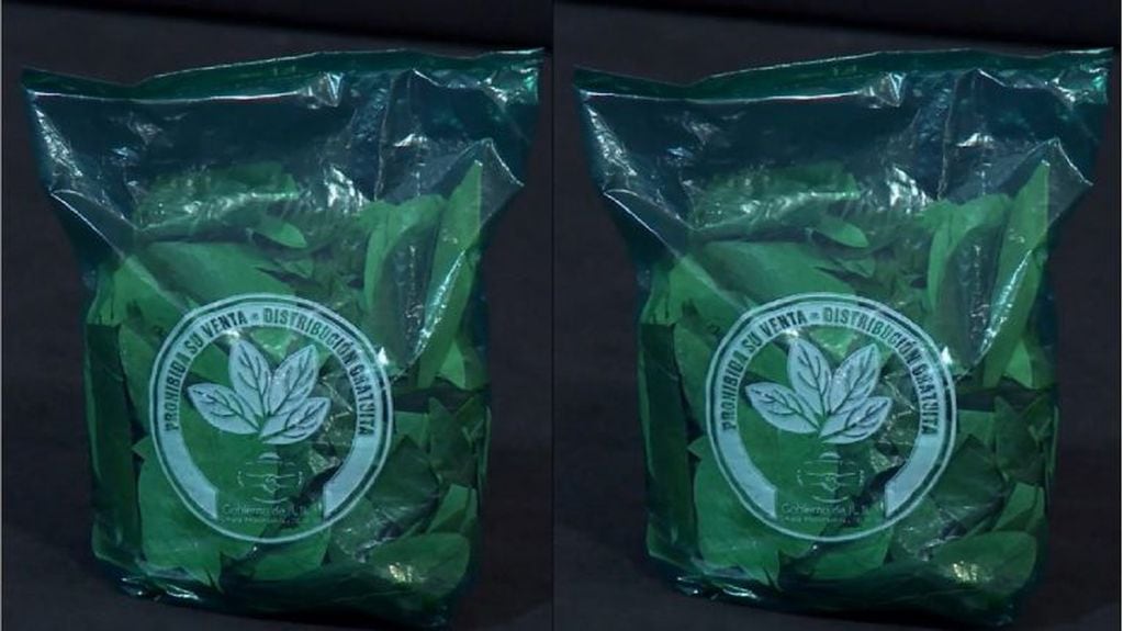 Hojas de coca, empaquetadas para la distribución gratuita que realizó el Gobierno en Jujuy, buscando evitar el contrabando desde Bolivia.